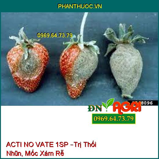 ACTI NO VATE 1SP –Trị Thối Nhũn, Mốc Xám Rễ