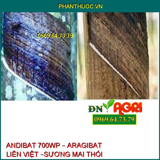 ANDIBAT 700WP – ARAGIBAT LIÊN VIỆT –SƯƠNG MAI THỐI THÂN