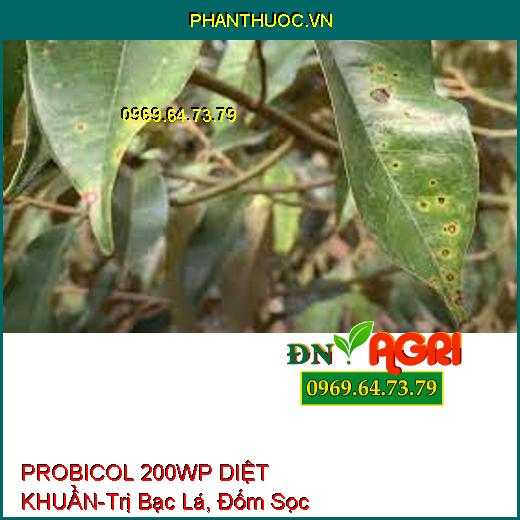 PROBICOL 200WP DIỆT KHUẨN-Trị Bạc Lá, Đốm Sọc