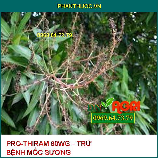 PRO-THIRAM 80WG – TRỪ BỆNH MỐC SƯƠNG 