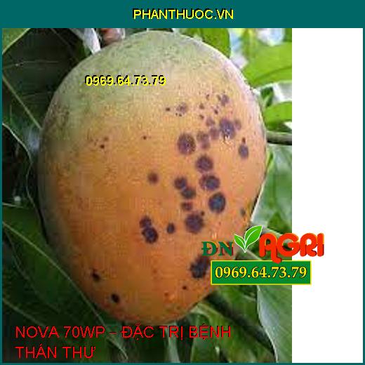 NOVA 70WP – ĐẶC TRỊ BỆNH THÁN THƯ