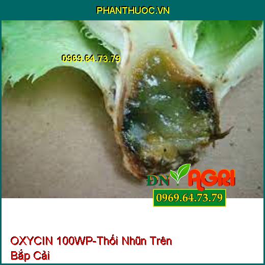 OXYCIN 100WP-Thối Nhũn Trên Bắp Cải