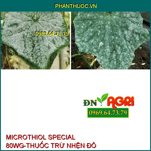 MICROTHIOL SPECIAL 80WG-THUỐC TRỪ NHỆN ĐỎ