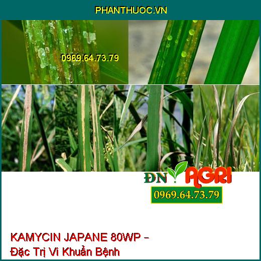 KAMYCIN JAPANE 80WP – Đặc Trị Vi Khuẩn Bệnh