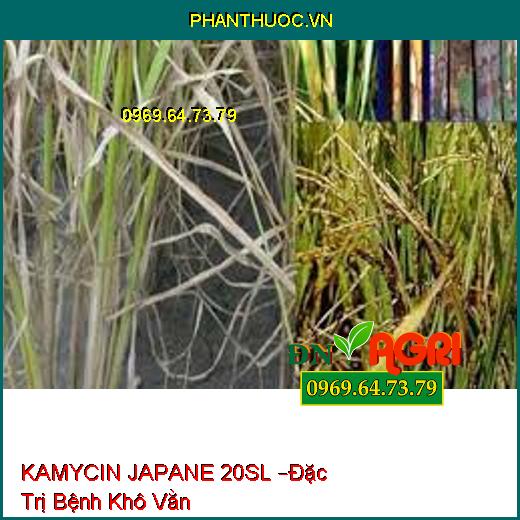 KAMYCIN JAPANE 20SL –Đặc Trị Bệnh Khô Vằn