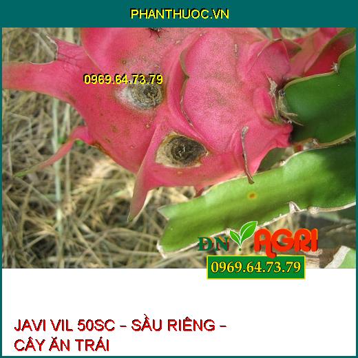 JAVI VIL 50SC – SẦU RIÊNG – CÂY ĂN TRÁI