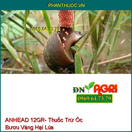 ANHEAD 12GR- Thuốc Trừ Ốc Bươu Vàng Hại Lúa