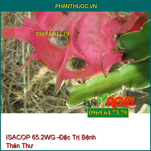 ISACOP 65.2WG -Đặc Trị Bệnh Thán Thư