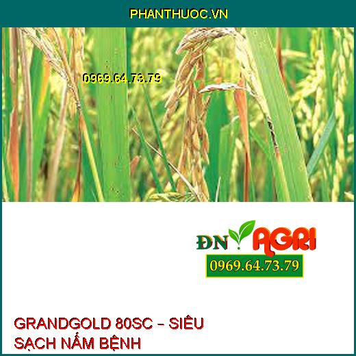 GRANDGOLD 80SC – SIÊU SẠCH NẤM BỆNH