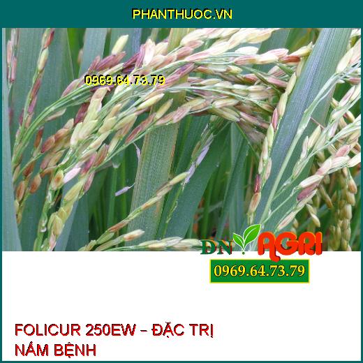 FOLICUR 250EW – ĐẶC TRỊ NẤM BỆNH