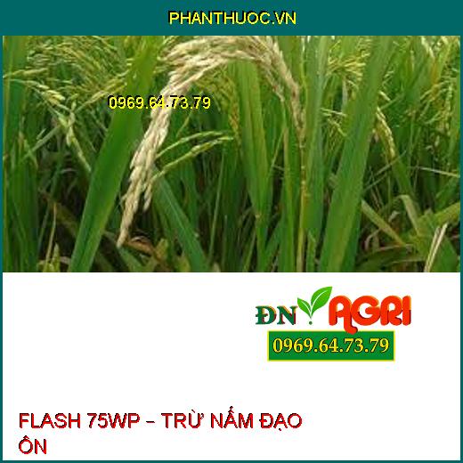 FLASH 75WP – TRỪ NẤM ĐẠO ÔN