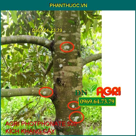 AGRI PHOTPHONATE 500 – KÍCH KHÁNG CÂY