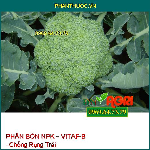 PHÂN BÓN HỖN HỢP NPK – VITAF-B –Chống Rụng Trái ,Tăng Thời Gian Bảo Quản