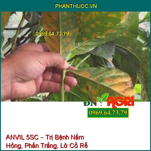 ANVIL 5SC – Trị Bệnh Nấm Hồng, Phấn Trắng, Lở Cổ Rễ