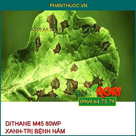 DITHANE M45 80WP XANH-TRỊ BỆNH NẤM 