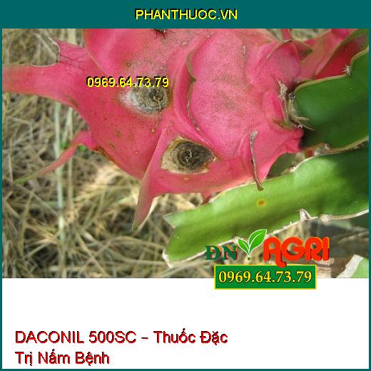 DACONIL 500SC – Thuốc Đặc Trị Nấm Bệnh