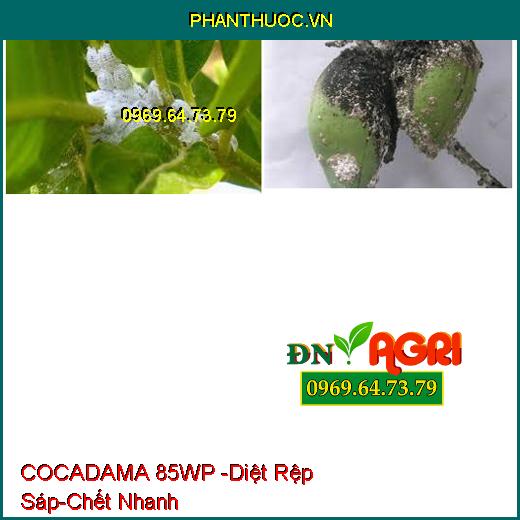 COCADAMA 85WP -Diệt Rệp Sáp-Chết Nhanh