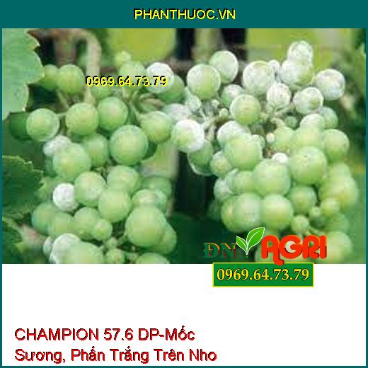 CHAMPION 57.6 DP-Mốc Sương, Phấn Trắng Trên Nho