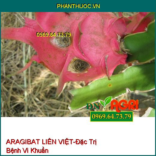 ARAGIBAT LIÊN VIỆT-Đặc Trị Bệnh Vi Khuẩn