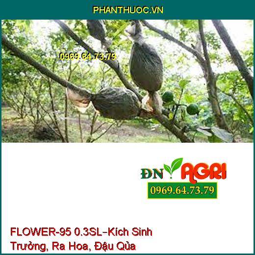 FLOWER-95 0.3SL–Kích Sinh Trưởng, Ra Hoa, Đậu Qủa