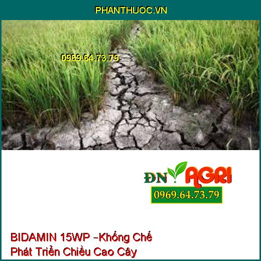 BIDAMIN 15WP –Khống Chế Phát Triển Chiều Cao Cây