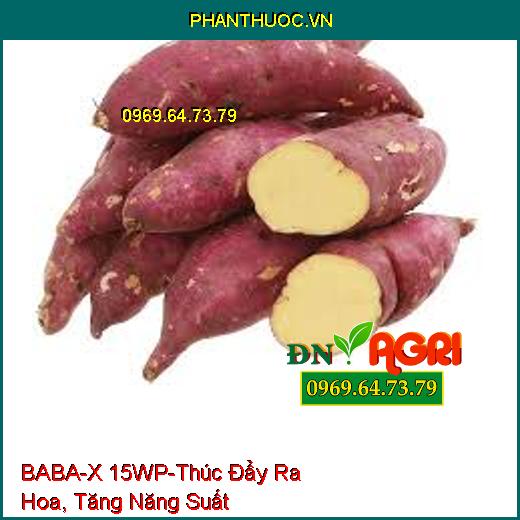 BABA-X 15WP-Thúc Đẩy Ra Hoa, Tăng Năng Suất