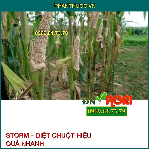 STORM – DIỆT CHUỘT HIỆU QUẢ NHANH