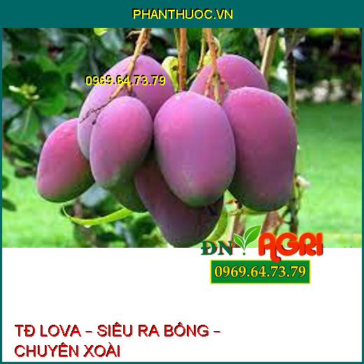 TĐ LOVA – SIÊU RA BÔNG – CHUYÊN XOÀI