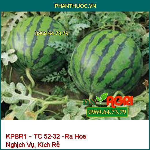 KPBR1 – TC 52-32 –Ra Hoa Nghịch Vụ, Kích Rễ