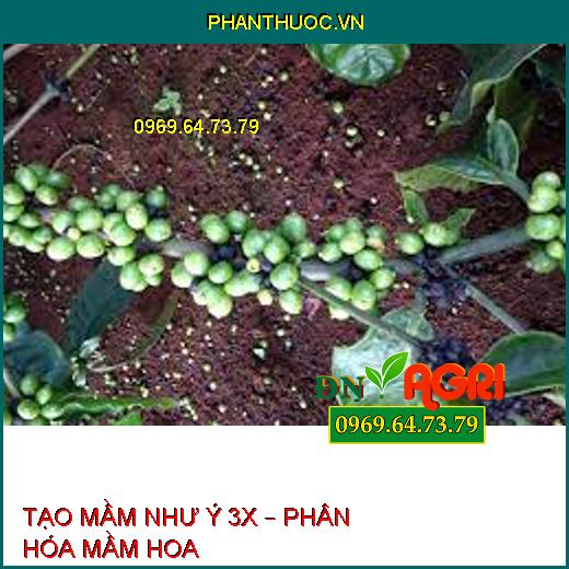 TẠO MẦM NHƯ Ý 3X – PHÂN HÓA MẦM HOA