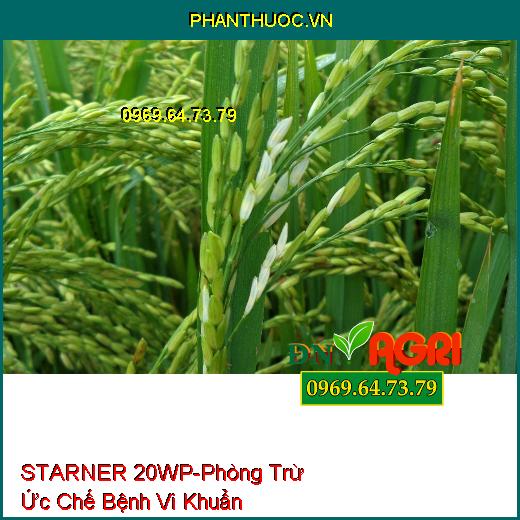 STARNER 20WP-Phòng Trừ Ức Chế Bệnh Vi Khuẩn