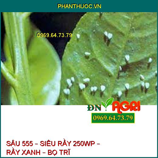 SÂU 555 – SIÊU RẦY 250WP – RẦY XANH – BỌ TRĨ