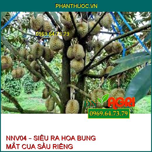 NNV04 – SIÊU RA HOA BUNG MẮT CUA SẦU RIÊNG