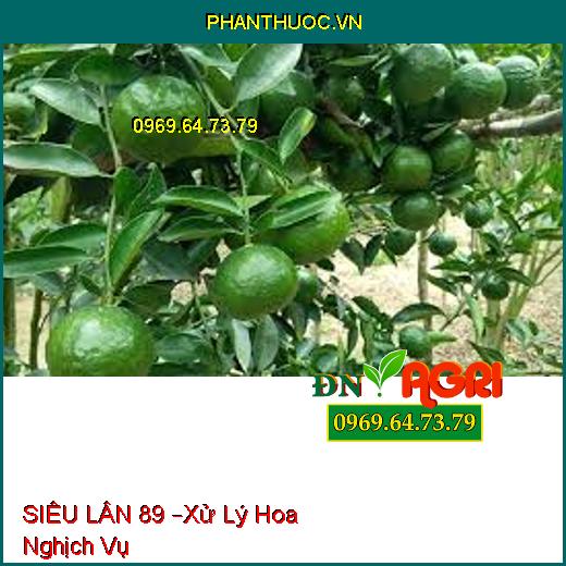 SIÊU LÂN 89 –Xử Lý Hoa Nghịch Vụ