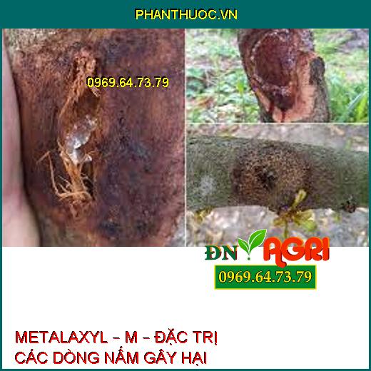 METALAXYL – M – ĐẶC TRỊ CÁC DÒNG NẤM GÂY HẠI