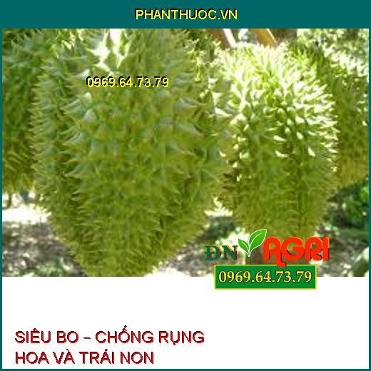 SIÊU BO – CHỐNG RỤNG HOA VÀ TRÁI NON