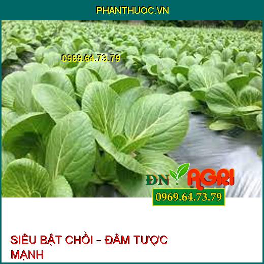 SIÊU BẬT CHỒI – ĐÂM TƯỢC MẠNH