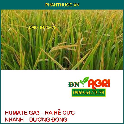 HUMATE GA3 – RA RỄ CỰC NHANH – DƯỠNG ĐÒNG