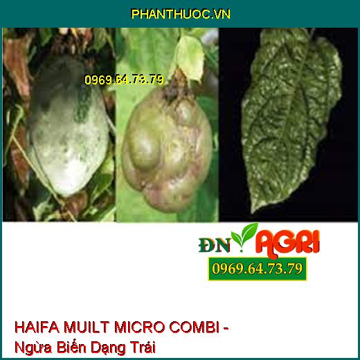 HAIFA MUILT MICRO COMBI - Ngừa Biến Dạng Trái