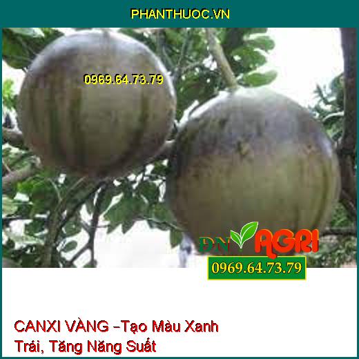 CANXI VÀNG –Tạo Màu Xanh Trái, Tăng Năng Suất