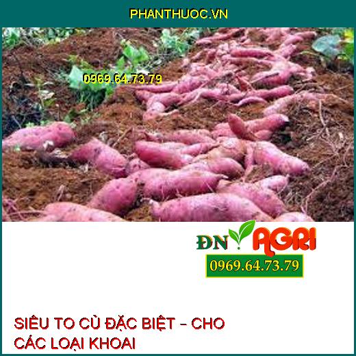 SIÊU TO CỦ ĐẶC BIỆT – CHO CÁC LOẠI KHOAI