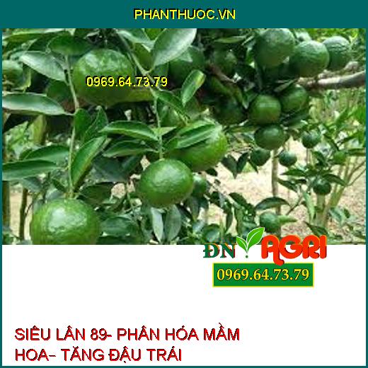 SIÊU LÂN 89- PHÂN HÓA MẦM HOA– TĂNG ĐẬU TRÁI