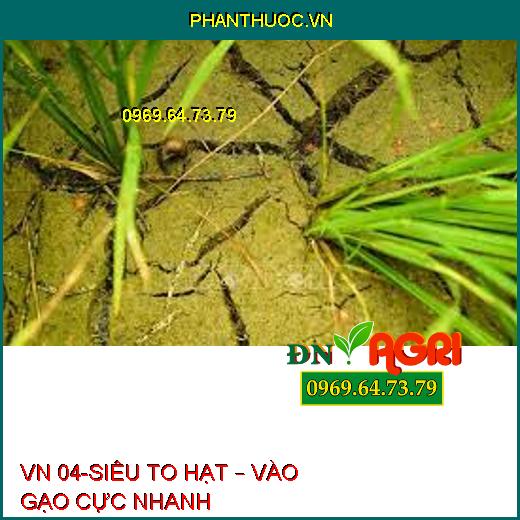 VN 04-SIÊU TO HẠT – VÀO GẠO CỰC NHANH