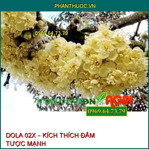 DOLA 02X – KÍCH THÍCH ĐÂM TƯỢC MẠNH