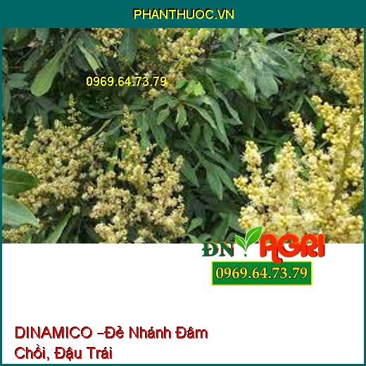 DINAMICO –Đẻ Nhánh Đâm Chồi, Đậu Trái