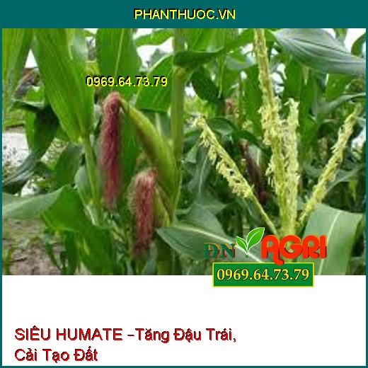 SIÊU HUMATE –Tăng Đậu Trái, Cải Tạo Đất