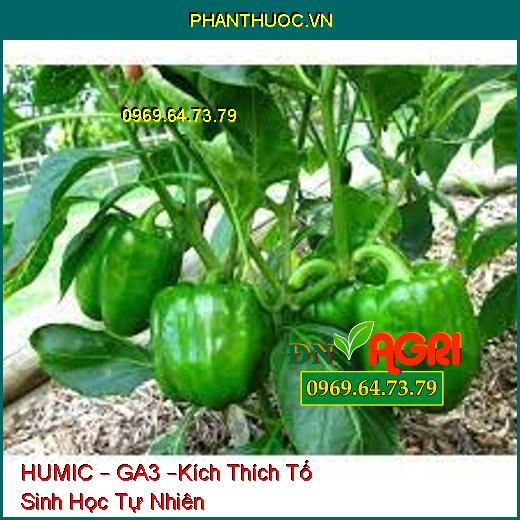 HUMIC – GA3 –Kích Thích Tố Sinh Học Tự Nhiên