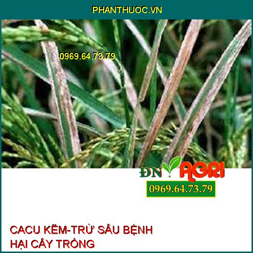 CACU KẼM-TRỪ SÂU BỆNH HẠI CÂY TRỒNG