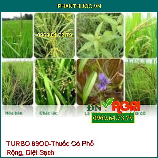 TURBO 89OD-Thuốc Cỏ Phổ Rộng, Diệt Sạch