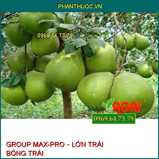 GROUP MAX-PRO – LỚN TRÁI BÓNG TRÁI